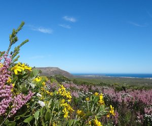 Updated Week 40 of 2013 – Gansbaai News, Specials & Events